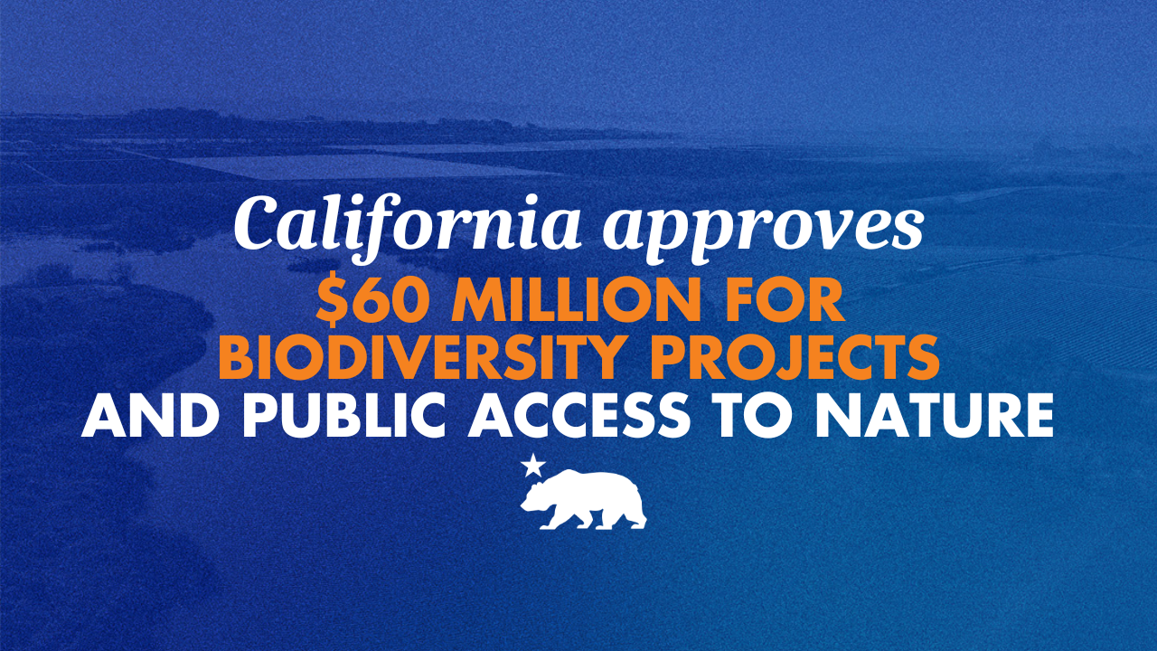 California approves $60 million for biodiversity projects and public access to nature