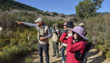 Bird Watching and Trail Access