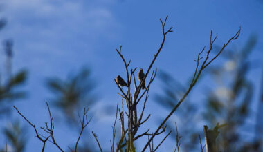 Non-Binding Climate Action Plan Signed by Orange County