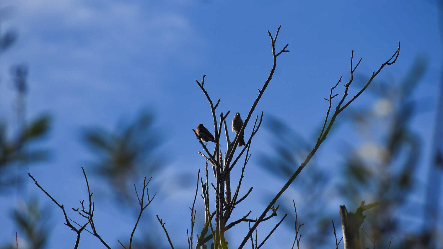 Non-Binding Climate Action Plan Signed by Orange County