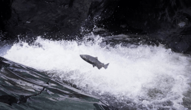 Blog Post Featured Photo (5)