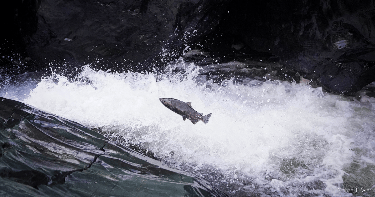 Blog Post Featured Photo (5)