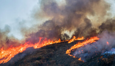 Berkshire’s Pacificorp Pays $575M to Settle Oregon, California Wildfire Claims