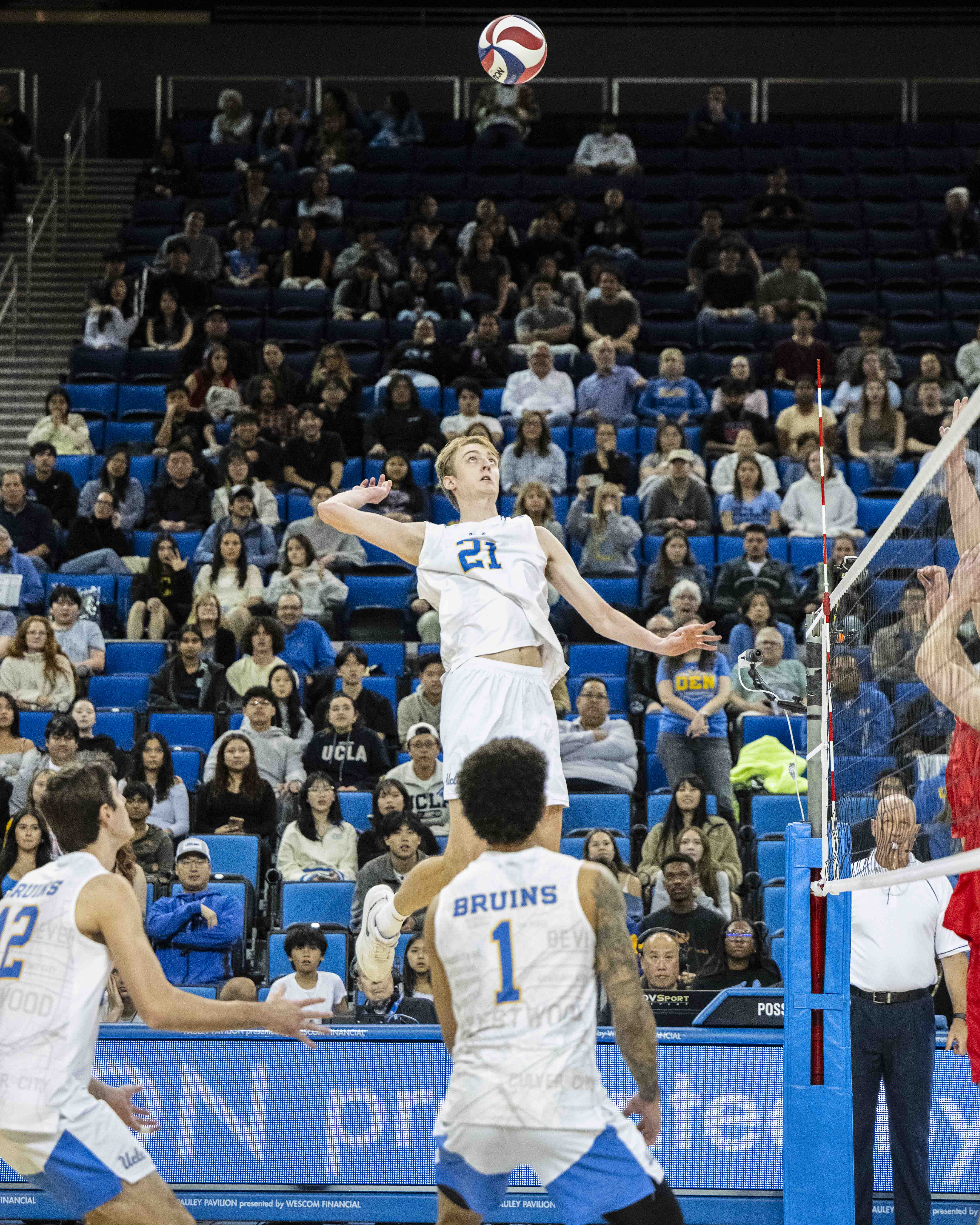 (Gabby Yang/Daily Bruin)