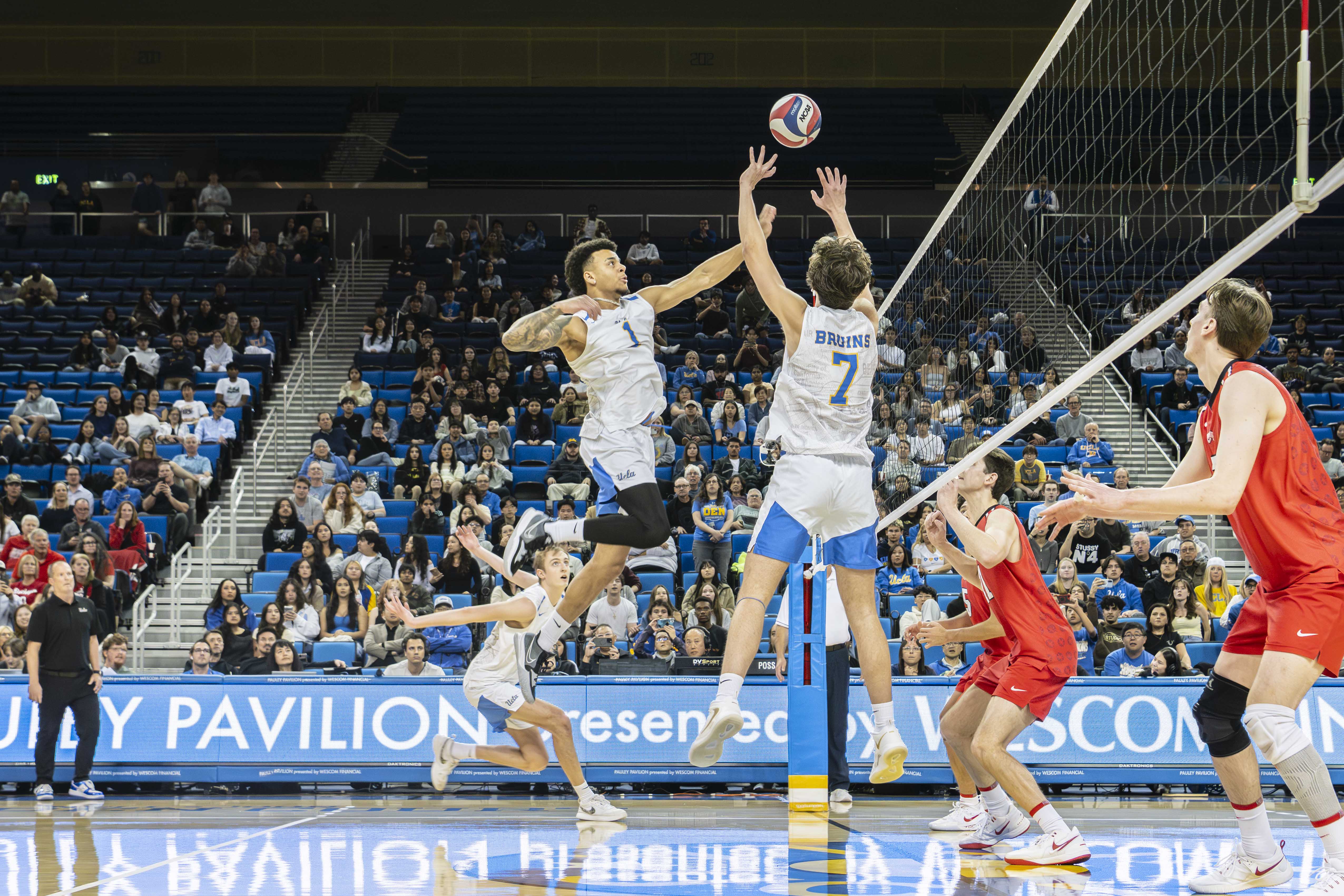 (Karla Cardenas-Felipe/Daily Bruin staff)