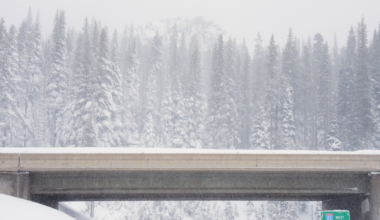 A snowy highway under a bridge with cars and people, surrounded by snow-covered trees and thick snow on the ground.