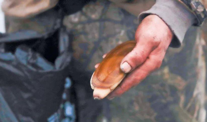 WDFW approves seven days of coastal razor clam digs beginning Feb. 26 with additional dates planned through early April