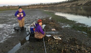 Collaborations help CSUF professor and students restore oysters in local waters – Orange County Register