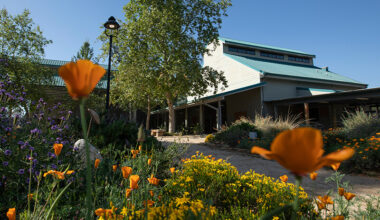 $2.35 Million Gift Plants Seed for Growth in CSUF’s Arboretum