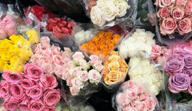 How to celebrate Valentine’s Day 2026 in Los Angeles – Annenberg Media