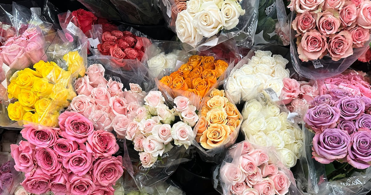 How to celebrate Valentine’s Day 2026 in Los Angeles – Annenberg Media