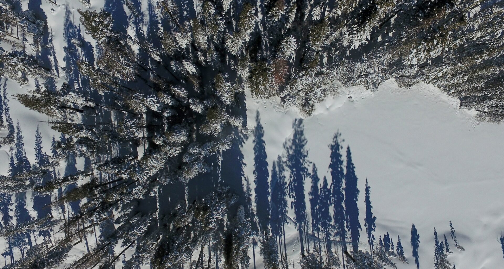 California Authorities Launch Investigation of Criminal Negligence in Deadly Tahoe Avalanche