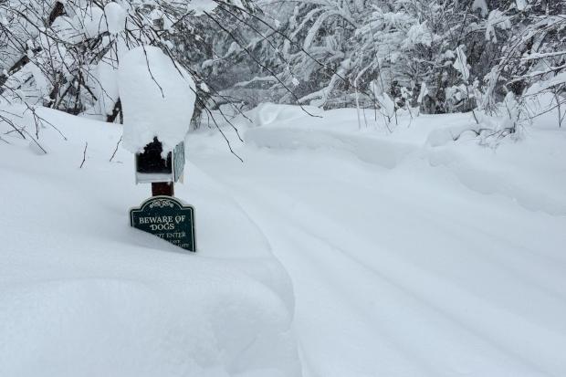 Snow falls on Tuesday, Feb. 17, 2026 in Truckee Calif. (AP Photos/Brooke Hess-Homeier)