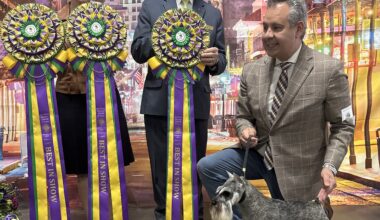 Sun Maid Kennel Club of Fresno, Inc. – Sunday, February 15, 2026