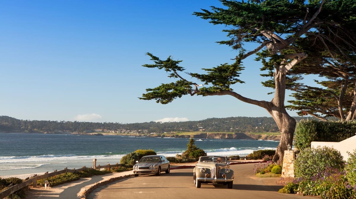 Representative picture of Carmel-by-the-Sea. Image Source: Pgiam/Canva