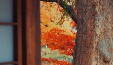 Channel 26 Fresno TV Schedule: Your Ultimate Guide