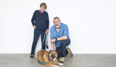 Chief the Rescue Dog Finds Loving Home in Santa Ana