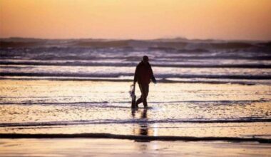 WDFW approves six days of coastal razor clam digs beginning Feb. 14 with additional dates planned through early March