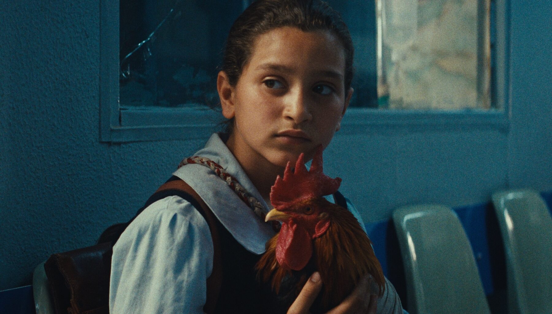 Screen Grabs: Oscar missed this heartwarming tale set in 1990 Iraq—you don't have to