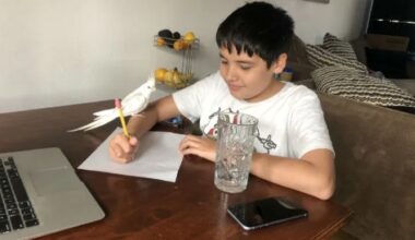 California, four other states praised for aligning high school and college math