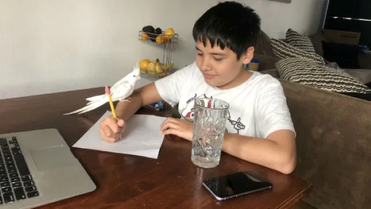 California, four other states praised for aligning high school and college math