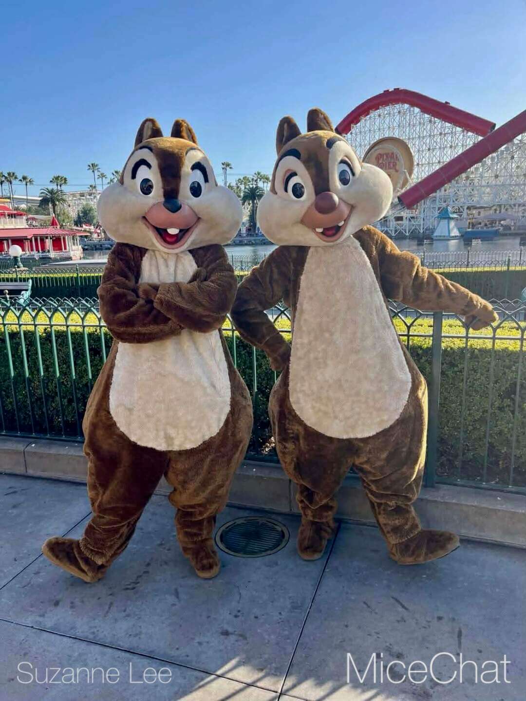 , DISNEYLAND UPDATE: Transport Troubles, 25 Years of Change & After Dark Dates Drop