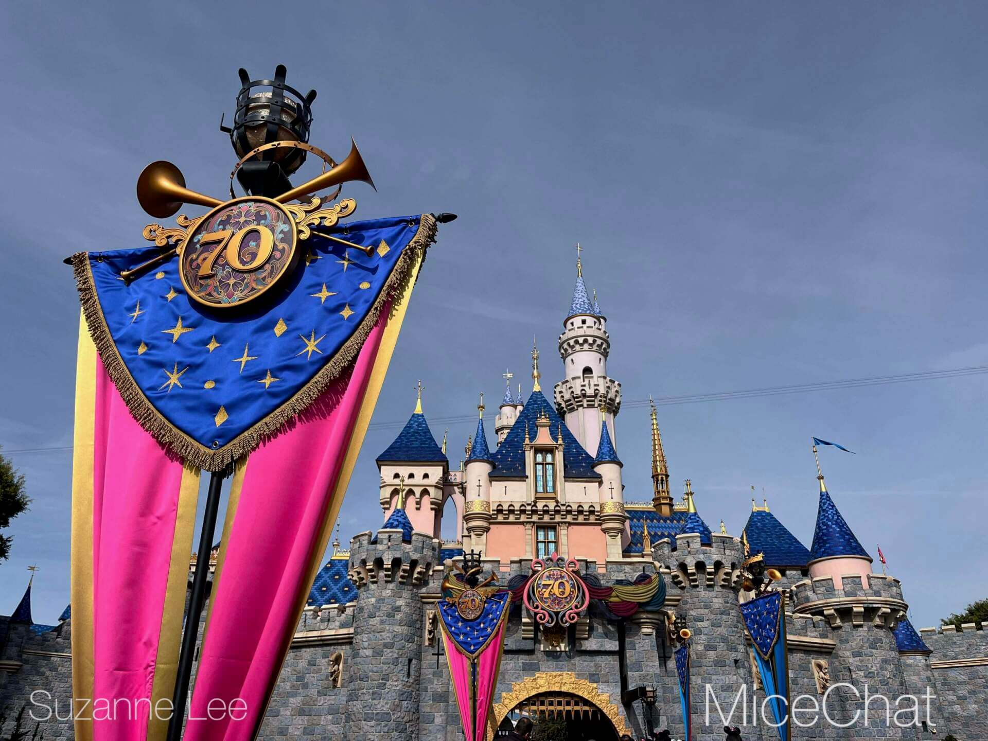 , DISNEYLAND UPDATE: Transport Troubles, 25 Years of Change & After Dark Dates Drop