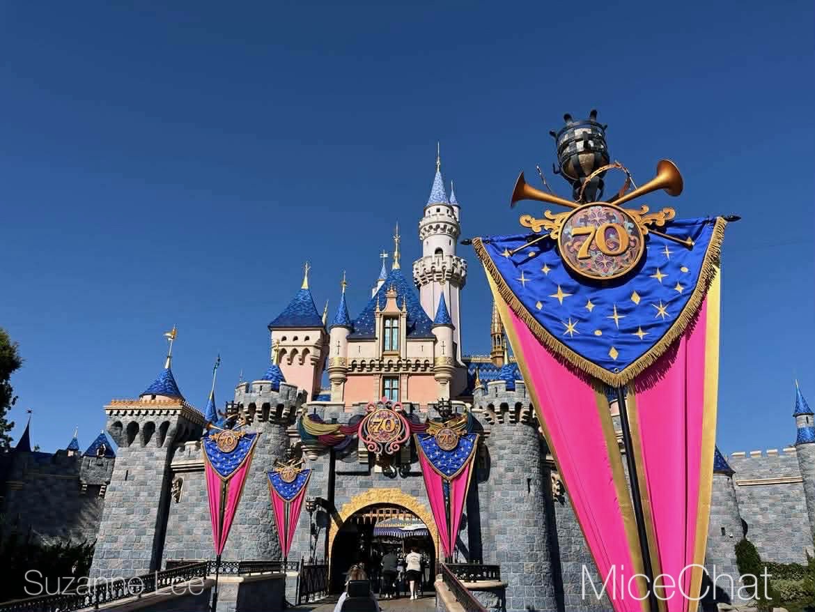 , DISNEYLAND UPDATE: Transport Troubles, 25 Years of Change & After Dark Dates Drop