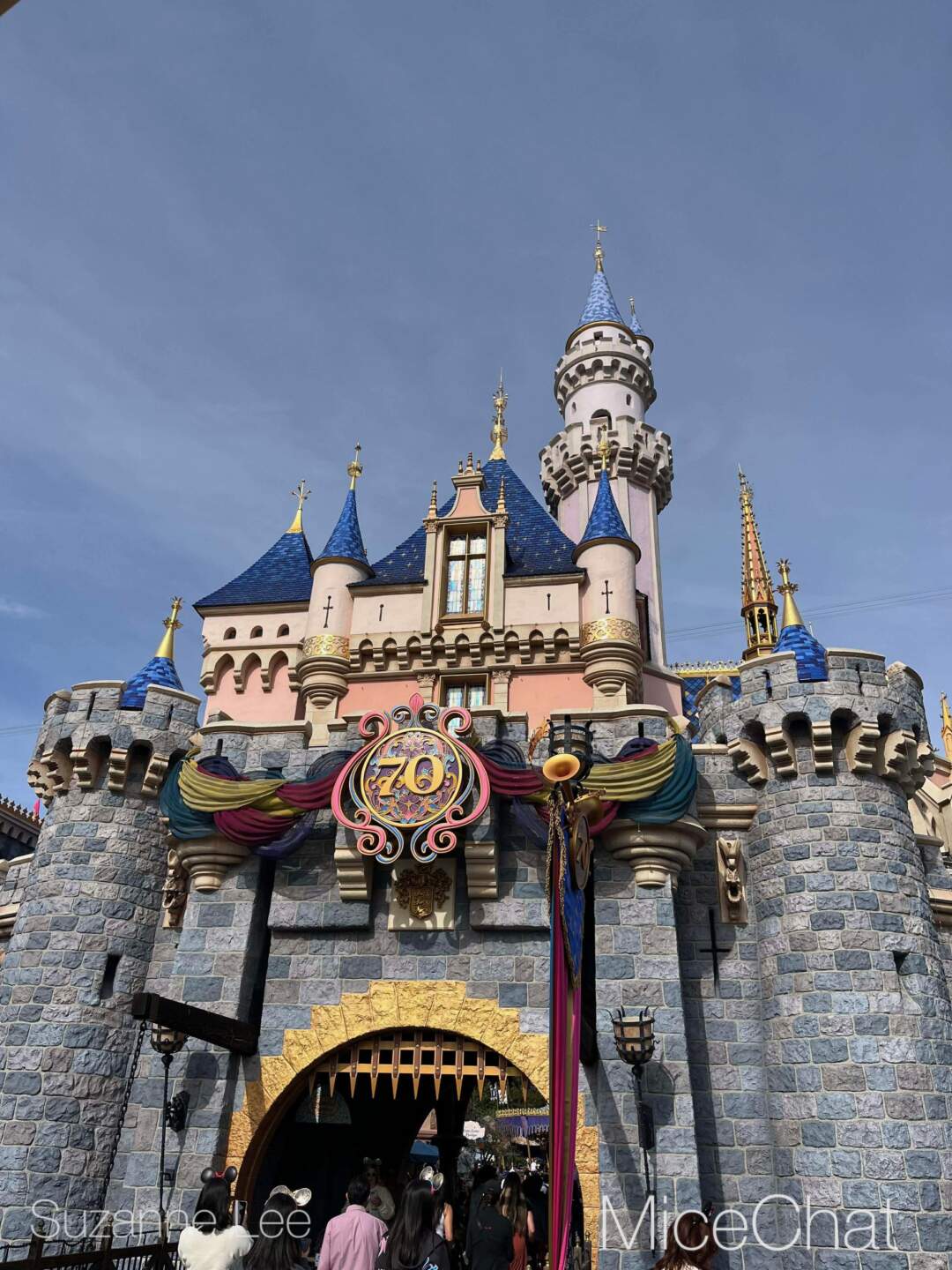 , DISNEYLAND UPDATE: Transport Troubles, 25 Years of Change & After Dark Dates Drop