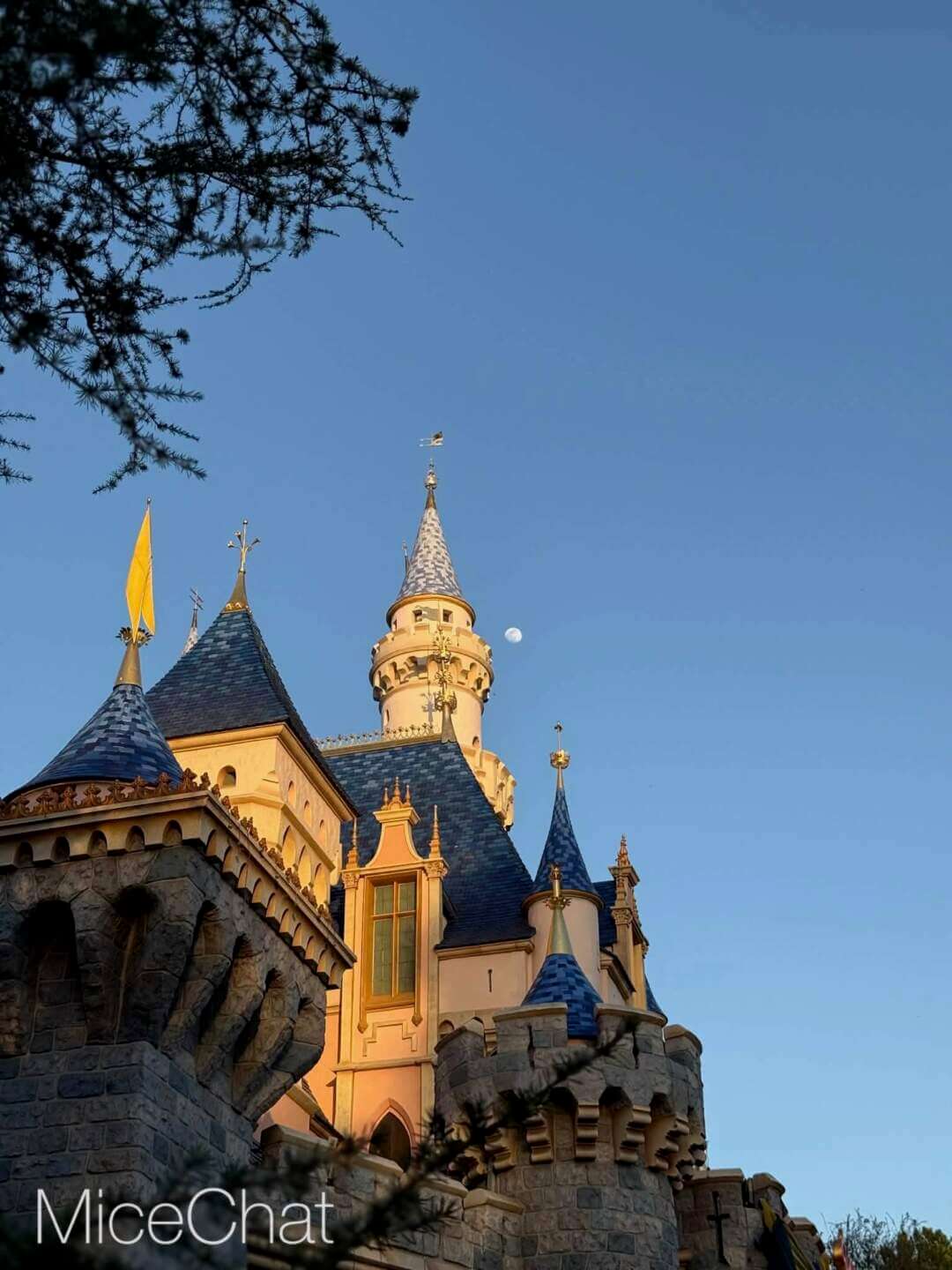 , DISNEYLAND UPDATE: Transport Troubles, 25 Years of Change & After Dark Dates Drop