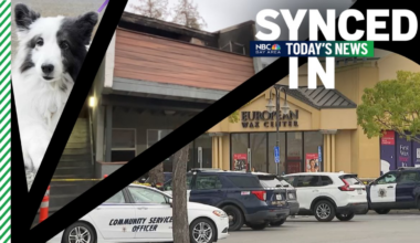 West San Jose shooting, heroic officers, Berkeley Humane puppies – NBC Bay Area