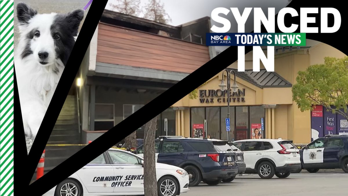 West San Jose shooting, heroic officers, Berkeley Humane puppies – NBC Bay Area