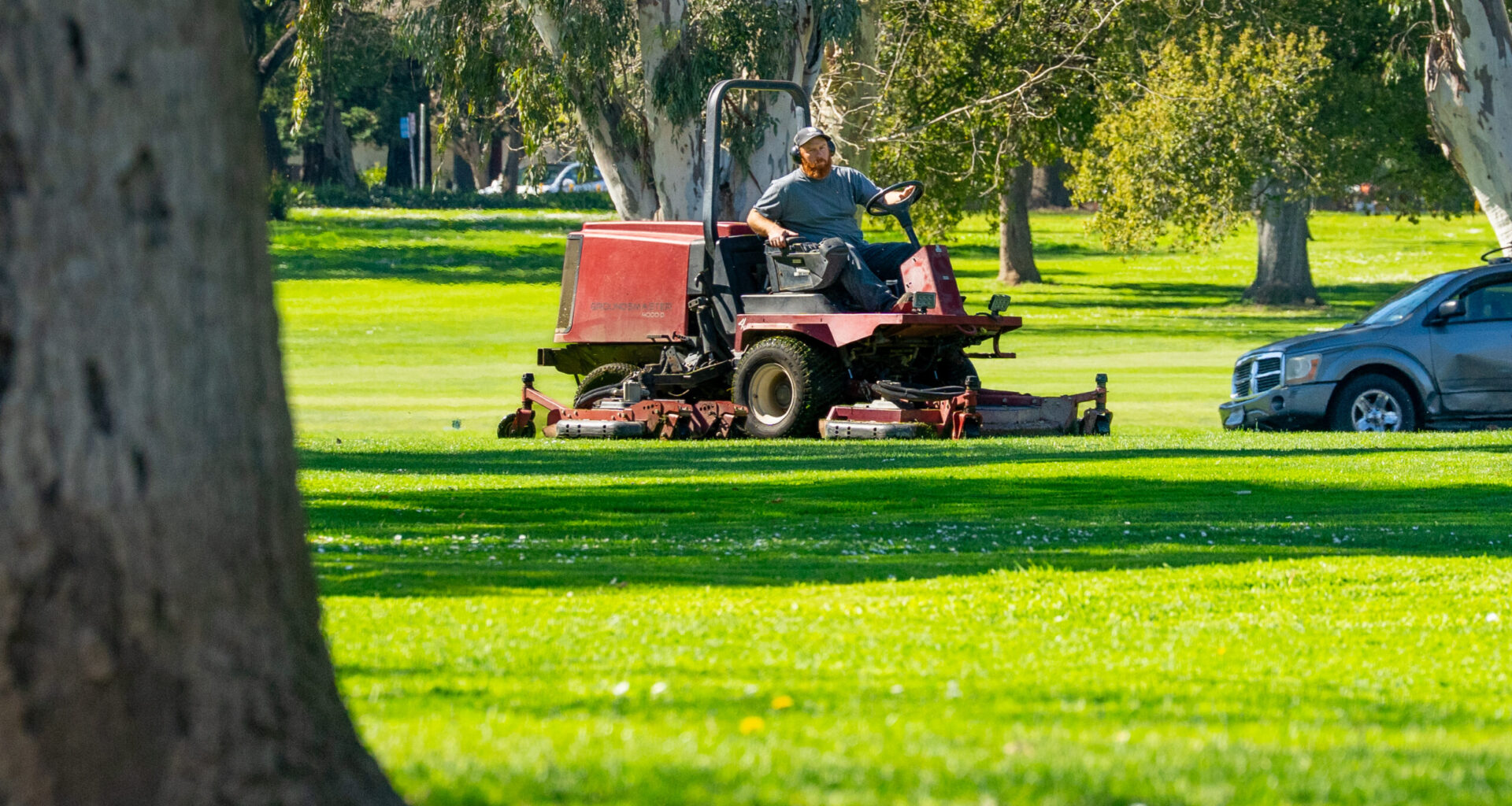 cutting grass