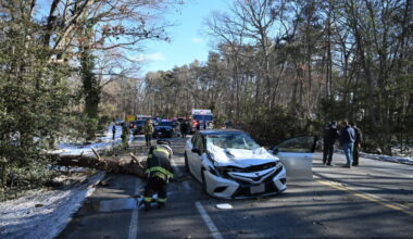 Serious Injuries Reported After Tree Falls on Vehicle in California - Southern Maryland News Net