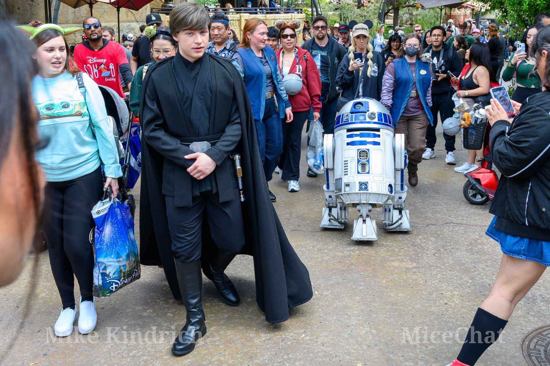 , DISNEYLAND UPDATE: Transport Troubles, 25 Years of Change & After Dark Dates Drop