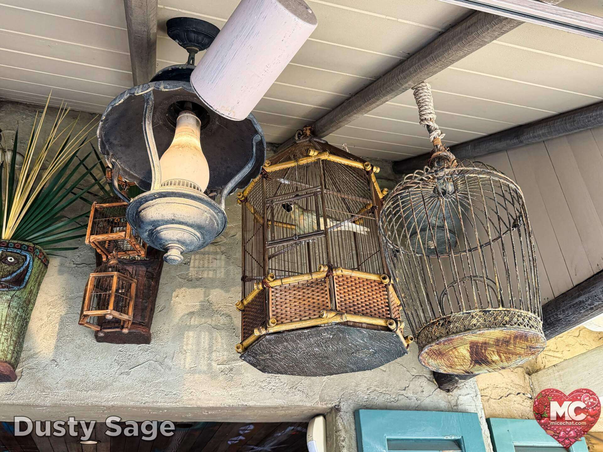 , DISNEYLAND UPDATE: Transport Troubles, 25 Years of Change & After Dark Dates Drop