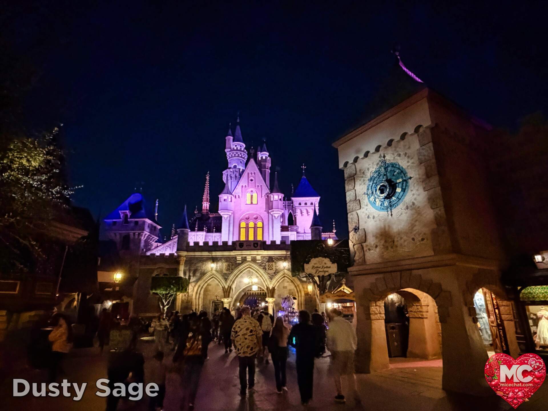 , DISNEYLAND UPDATE: Transport Troubles, 25 Years of Change & After Dark Dates Drop
