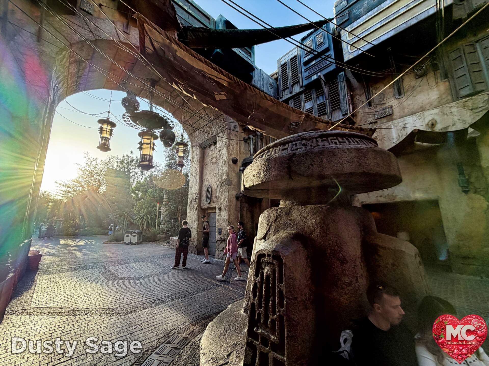 , DISNEYLAND UPDATE: Transport Troubles, 25 Years of Change & After Dark Dates Drop