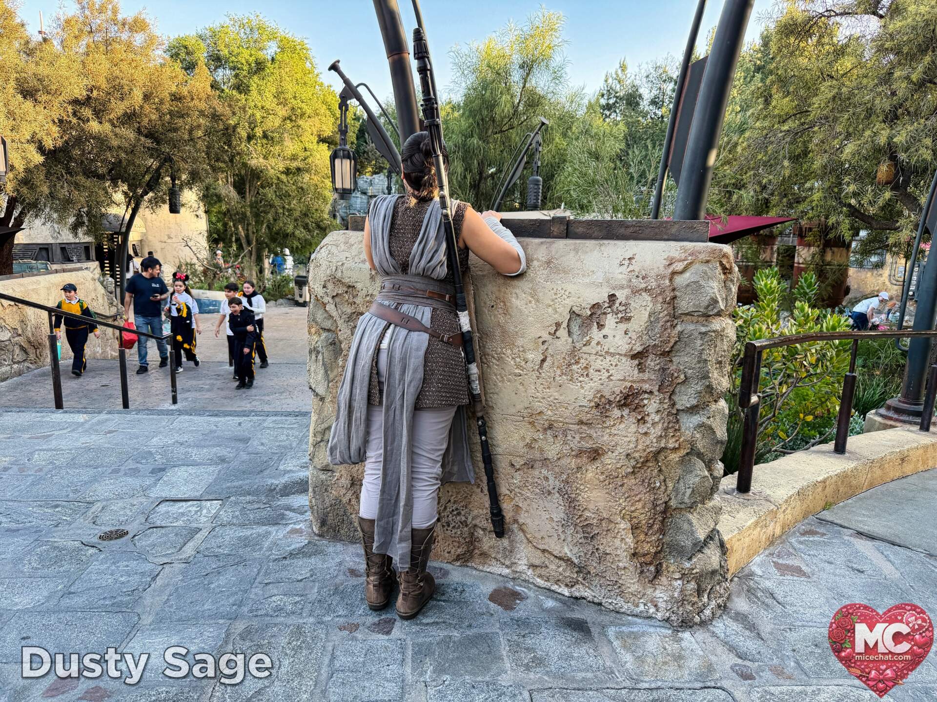 , DISNEYLAND UPDATE: Transport Troubles, 25 Years of Change & After Dark Dates Drop