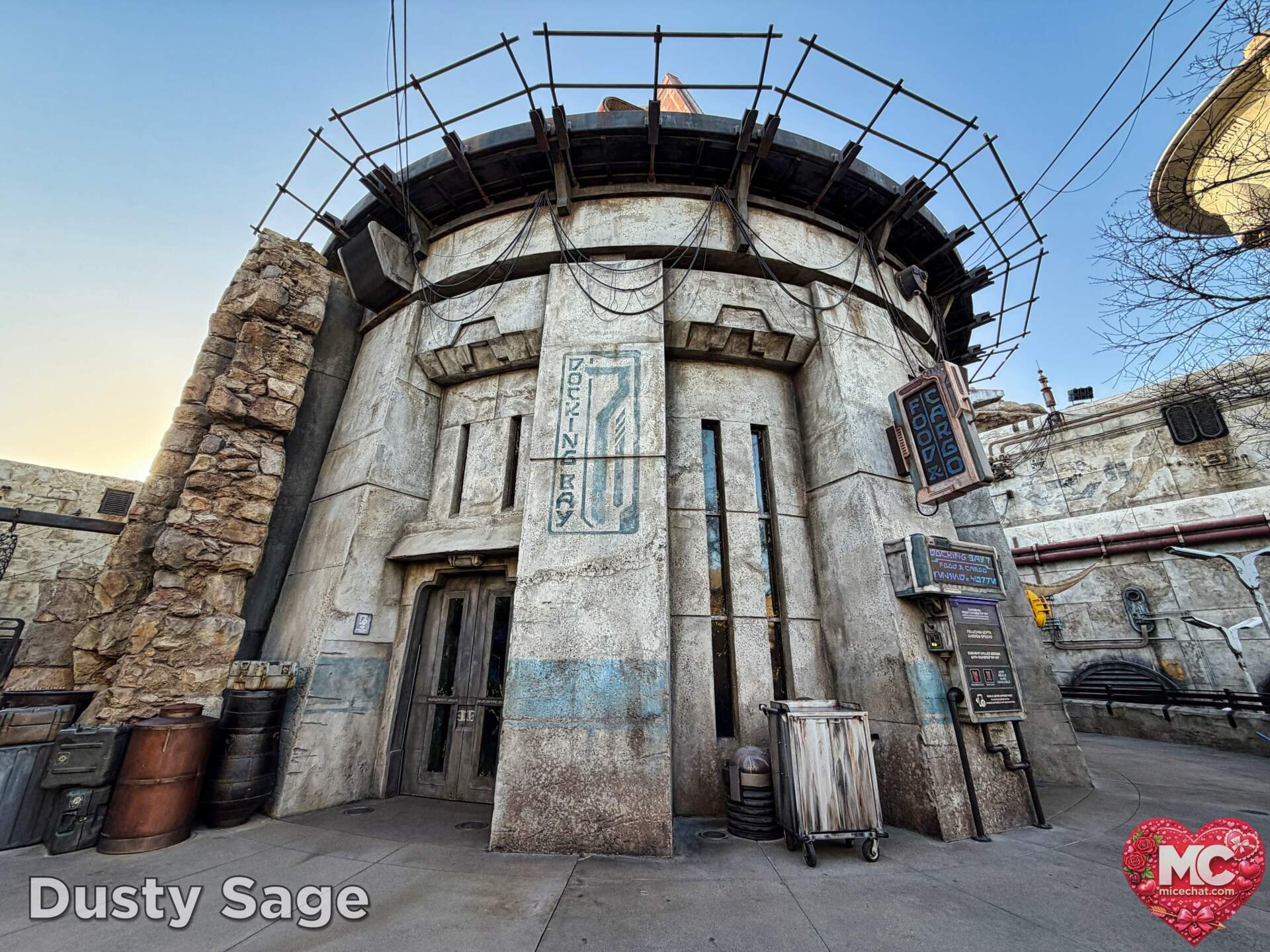 , DISNEYLAND UPDATE: Transport Troubles, 25 Years of Change & After Dark Dates Drop