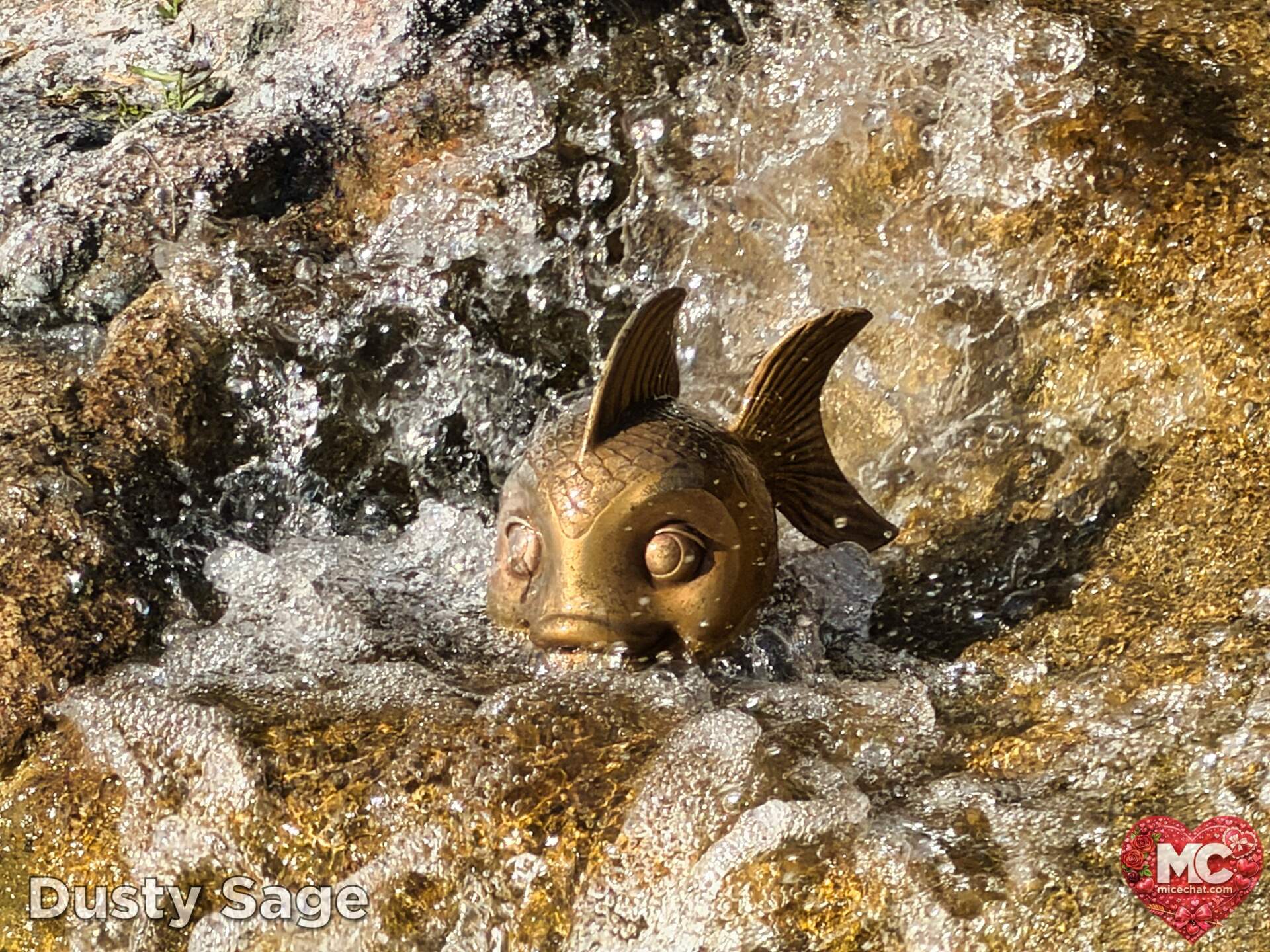 , DISNEYLAND UPDATE: Transport Troubles, 25 Years of Change & After Dark Dates Drop