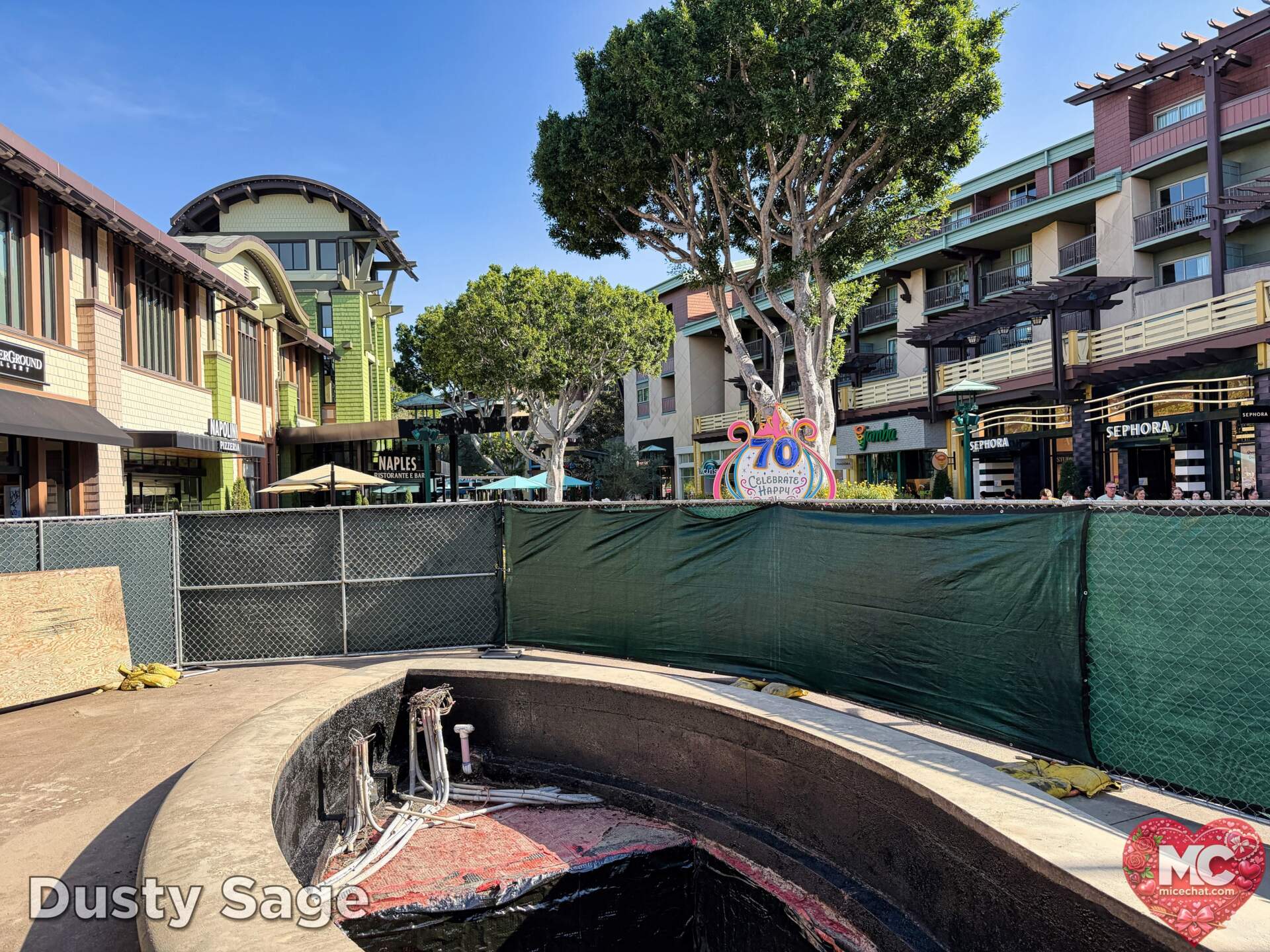 , DISNEYLAND UPDATE: Transport Troubles, 25 Years of Change & After Dark Dates Drop