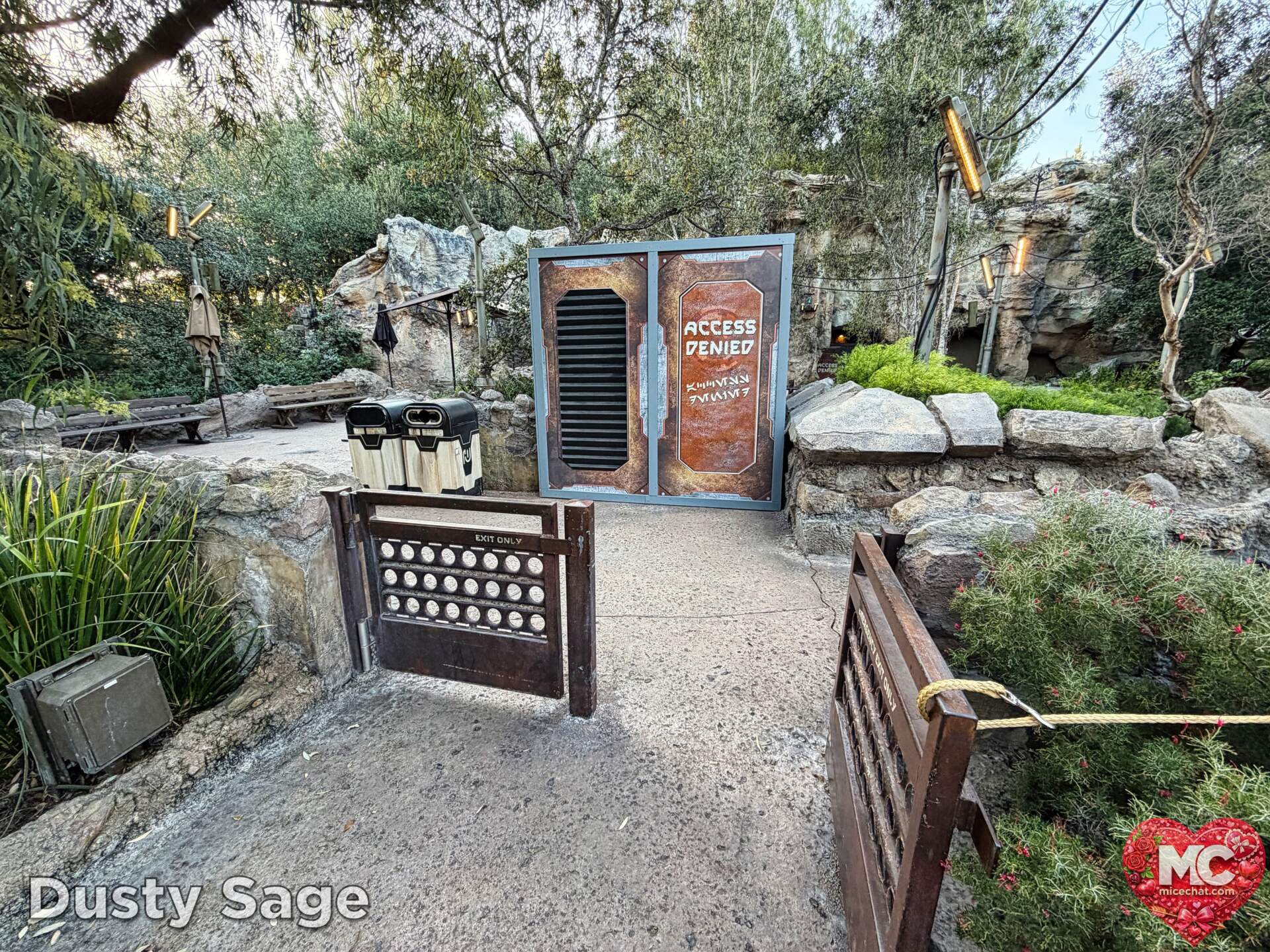 , DISNEYLAND UPDATE: Transport Troubles, 25 Years of Change & After Dark Dates Drop