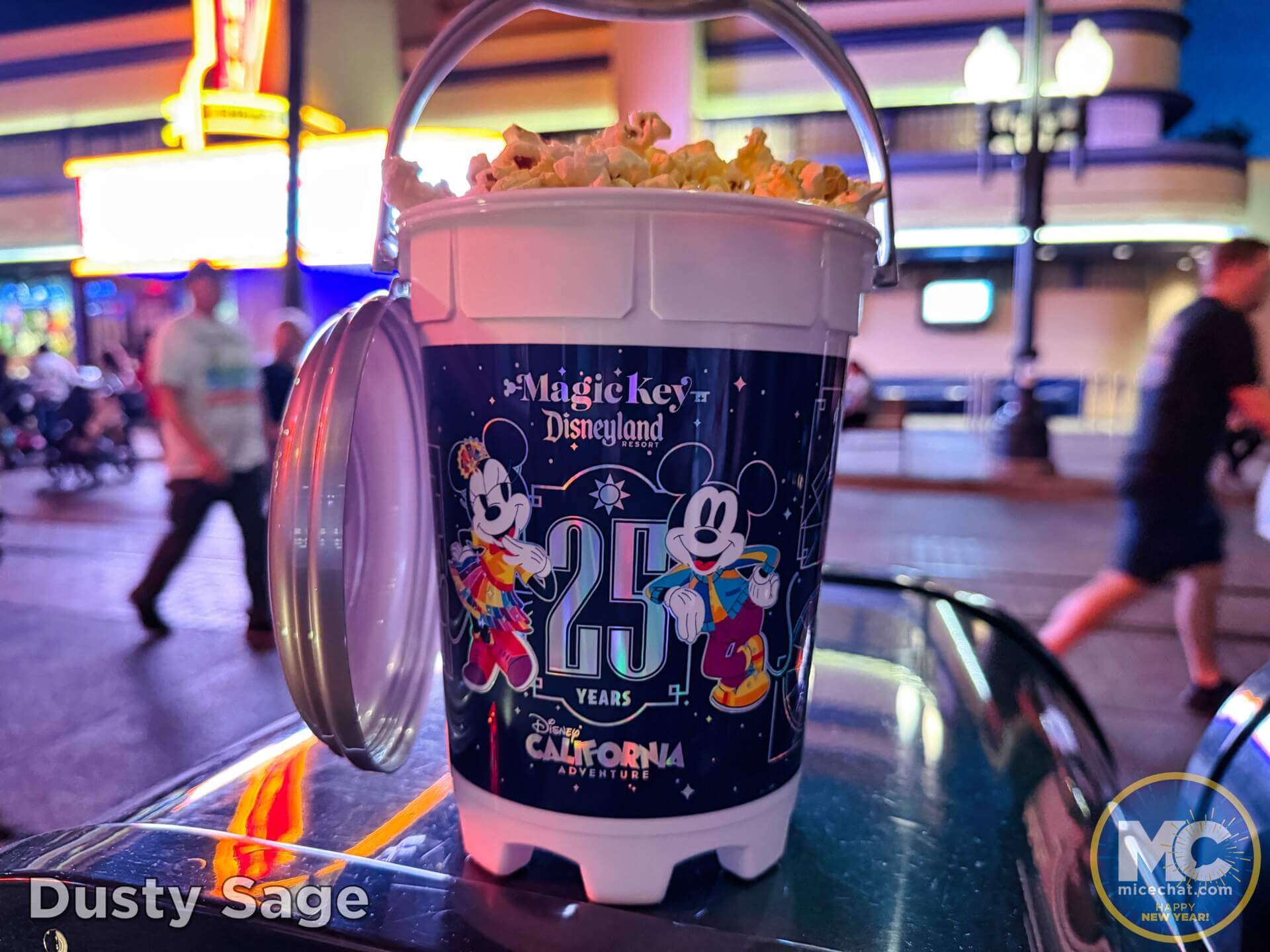 Disney California Adventure, Disney California Adventure Turns 25: Soarin’ Over California Returns, New Merch & Events