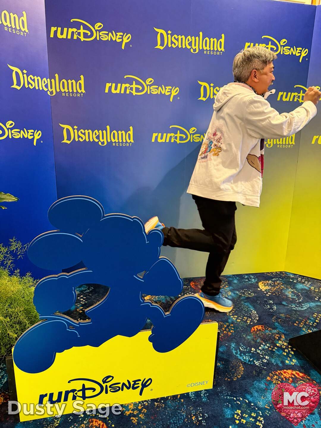 , DISNEYLAND UPDATE: Transport Troubles, 25 Years of Change & After Dark Dates Drop