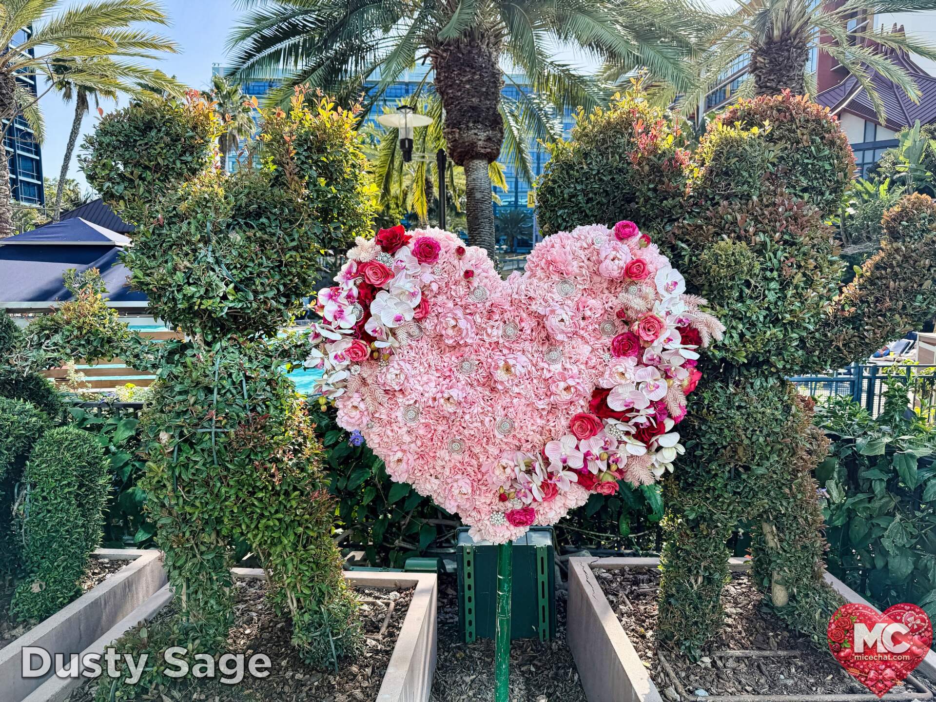 , DISNEYLAND UPDATE: Transport Troubles, 25 Years of Change & After Dark Dates Drop