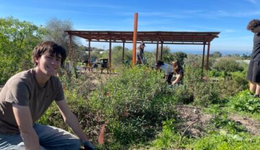 The Grauer School students, faculty honor MLK Jr. with nearly 900 hours of hands-on service with multiple community projects