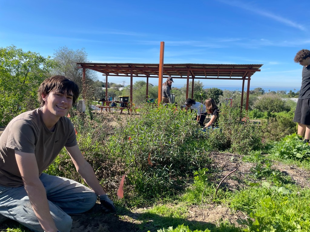 The Grauer School students, faculty honor MLK Jr. with nearly 900 hours of hands-on service with multiple community projects