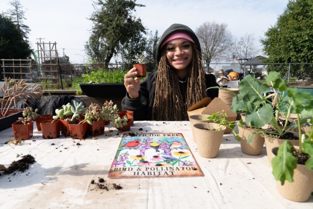 Malea Wallace tends the plant swap table at the South Sacramento Community Garden. Roberta Alvarado, OBSERVER