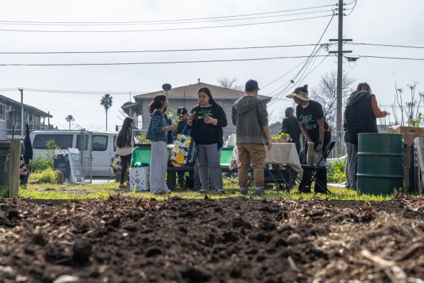 Color the Block, South Central Sacramento Community Garden on January 31, 2026. Roberta Alvarado, OBSERVER